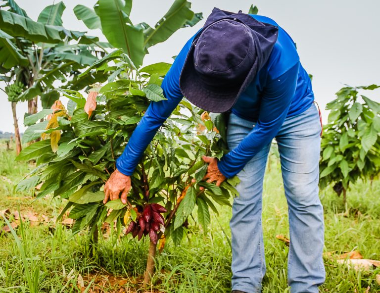 Fazenda-Futuro-Plantio-12-03-2018-Fotos-Jeferson-Mota-33